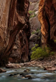 Paul_McPherson_Virgin_River_Narrows_2