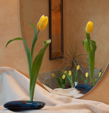 Rich_Bickham_Reflections_of_Yellow_Tulips