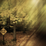 Teresa_Baber_Dead_End