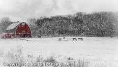 Teresa_Baber_Red_Barn