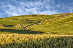 End_of_Day_in_the_Palouse