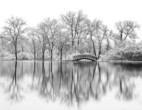 Jeff_Chemelewski_Winter_s_Reflections