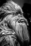 Lance_Lagoni_Ape_Warrior