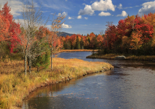 Lyle_Anderson_Fall_Spectacular