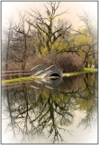 Roger_Willingham_Symmetry_in_the_Park