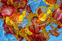 Sandra_Wittman_Chihuly_s_Flowers