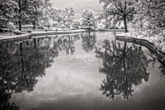 Teresa_Baber_Infrared_Reflections