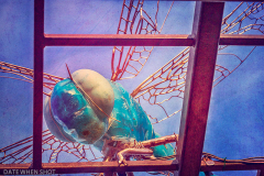 AW_Kim_Wilson_Invasion