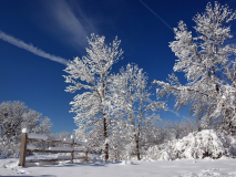 HM_Bill_Cermak_Winter_Blues