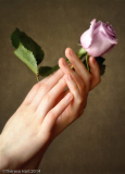 My_Daughter_s_Hands_Theresa_Hart