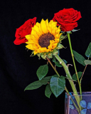 Roger_Willingham_Sunflower_and_Roses