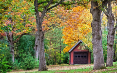 Rustic_Shelter_in_the_Woods_Roger_Willingham