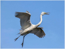 39_CPI_2_Sandra_Wittman_Where_is_that_Runway