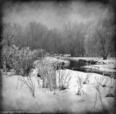 AWD_Winter_Fog_Teresa_Baber_