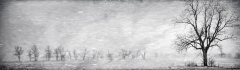 Blizzard_Teresa_Baber