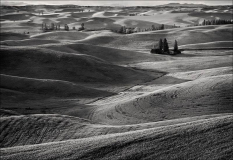 Contours_Lyle_Anderson