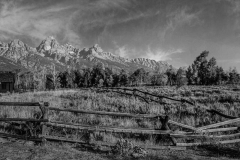 Fenced_In