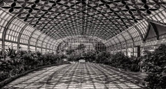 Garfield_Conservatory_Teresa_Baber