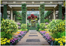 Longwood_Conservatory_Roger_O._Willingham