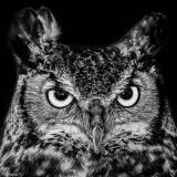 Look_Into_My_Eyes