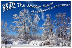 Snap_the_Winter_Blues