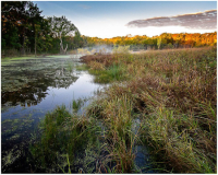 18_Doug_Frey_Boloria_Meadows