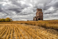 39_CPI_2_Sandra_Wittman_After_the_Harvest_23_HM_CACCA_HM_and_Best_of_Show