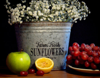 Connie_Sonnenberg_Farm_Fresh