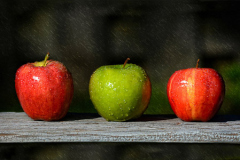 HM_Connie_Sonenberg_Three_Apples