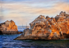 Lyle_Anderson_At_Anchor_Cabo_San_Lucas
