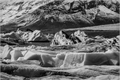 Norm_Kopp_Glacier_Bay