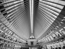 02_The_Oculus_Teresa_Baber