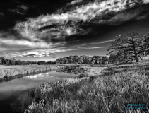 An_Illinois_Landscape_Jeff_Chemelewski
