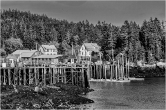 City_on_Stilts_Norm_Kopp