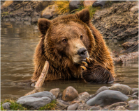 Cooling_Off_Sandra_Wittman