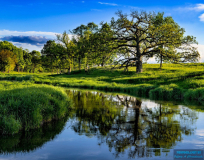 Flint_Creek_Prairie_Jeff_Chemelewski
