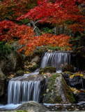 Peaceful_Energy_Teresa_Baber